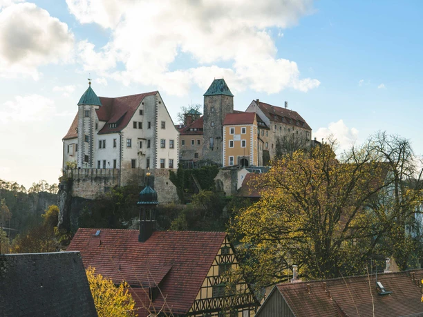 A historic castle with red roofs sits enthroned on a hill, surrounded by trees and traditional half-timbered houses under a blue sky.