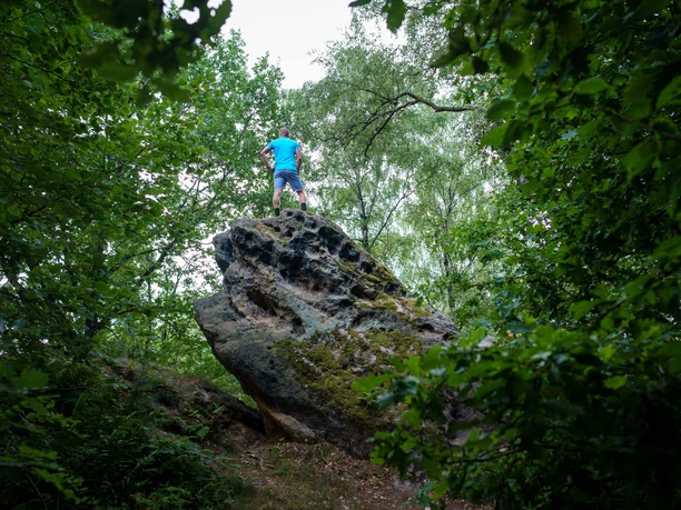 Een persoon in een blauw T-shirt en korte broek staat op een grote, met mos bedekte rots omringd door een dicht, groen bos.