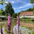 Haus des Gastes_Touristik Preußisch Oldendorf.jpg Ein Haus mit rotem Dach am Ufer eines Teichs, umgeben von Bäumen und lila Blüten im Vordergrund.