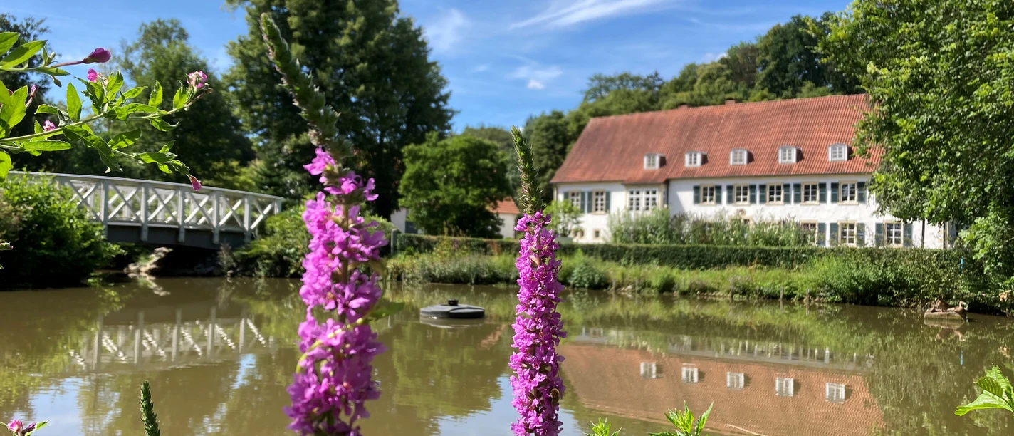 Ein Haus mit rotem Dach am Ufer eines Teichs, umgeben von Bäumen und lila Blüten im Vordergrund.