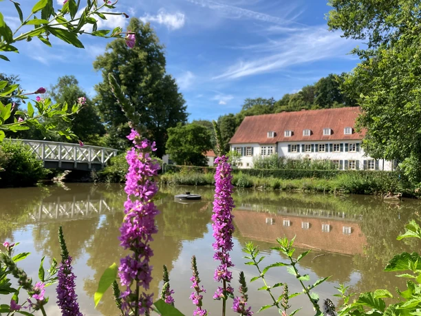 Ein Haus mit rotem Dach am Ufer eines Teichs, umgeben von Bäumen und lila Blüten im Vordergrund.