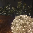 20231208_191410.jpg Weihnachtlich beleuchtete Tannenbäume und eine leuchtende Kugel bei Nacht, festliche Atmosphäre.