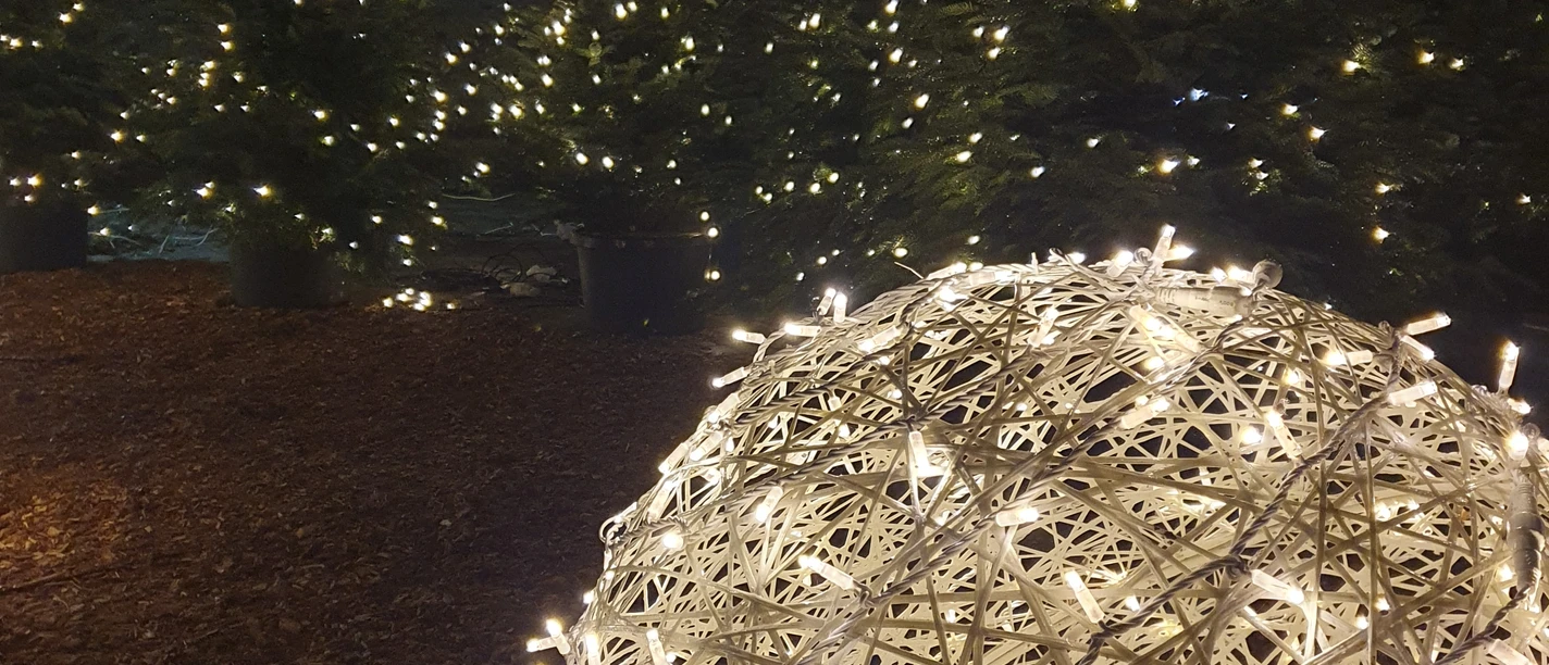 20231208_191410.jpg Weihnachtlich beleuchtete Tannenbäume und eine leuchtende Kugel bei Nacht, festliche Atmosphäre.
