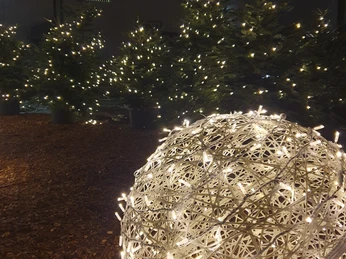 20231208_191410.jpg Weihnachtlich beleuchtete Tannenbäume und eine leuchtende Kugel bei Nacht, festliche Atmosphäre.
