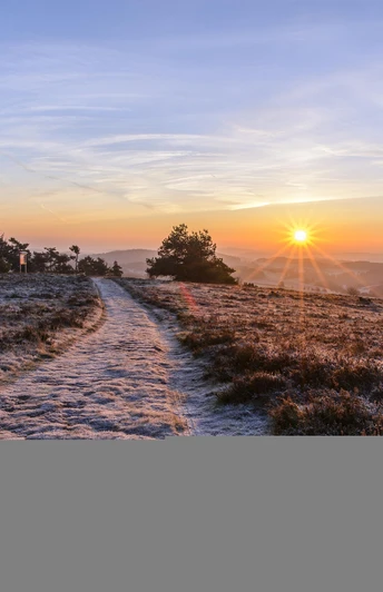 Raureif am Osterkopf bei Sonnenaufgang Raureif am Osterkopf bei Sonnenaufgang