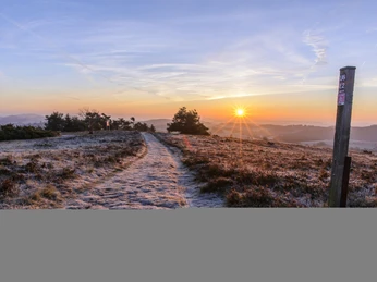 Raureif am Osterkopf bei Sonnenaufgang Raureif am Osterkopf bei Sonnenaufgang