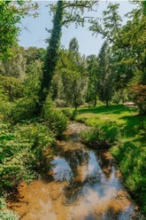 natur_BadSalzuflen