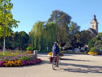 Radfahrer Stadtpark StrotherStr