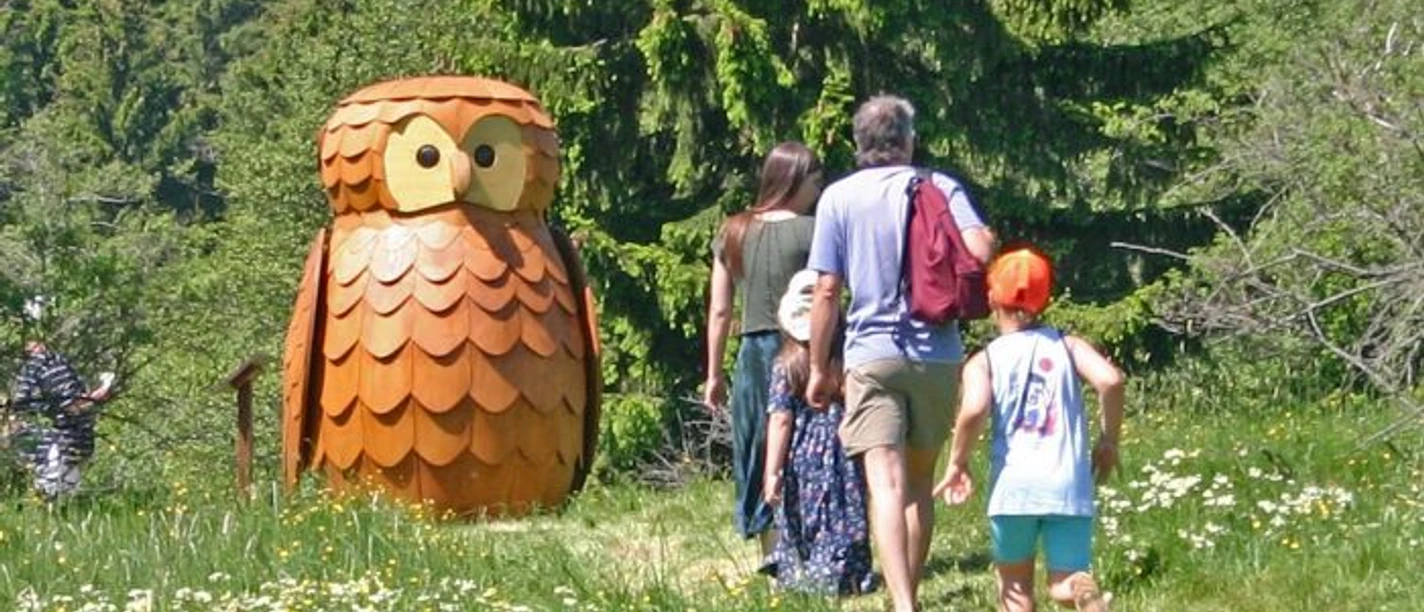 Eule am Löwenzahn-Entdeckerpfad Eule am Löwenzahn-Entdeckerpfad