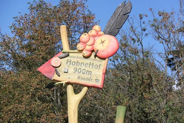 HohneHof_Besucherlenkung_JenniferHeinrich_1409_2365.jpg