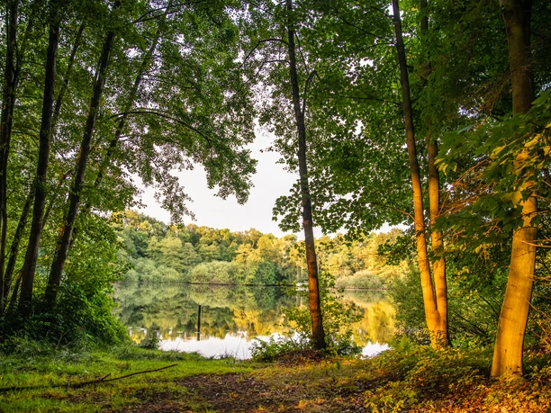 Lechtegoor Lechtegoor