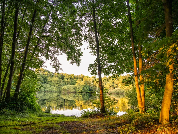 Lechtegoor Lechtegoor