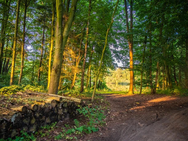 Lechtegoor Lechtegoor