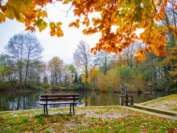 Ramings Mühle Ramings Mühle