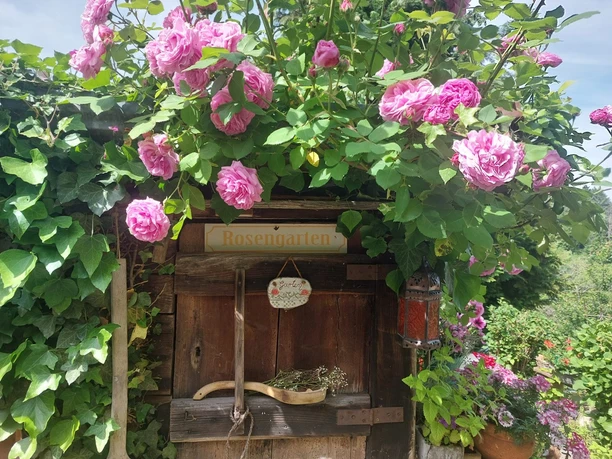 Gartenfoto 6 Doll Augustins Hus