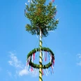 Maibaum