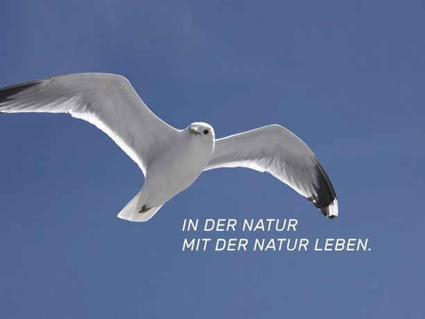 helloer-titelbild.JPG