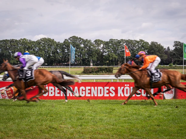Rennen Galopprennen: Zwei Pferde in voller Geschwindigkeit auf grünem Rasen, mit bunten Jockeys.</p>