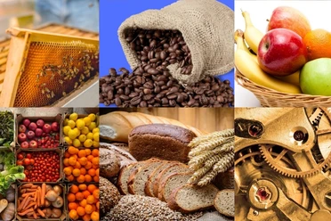 Een collage van vers voedsel, waaronder brood, fruit, groenten, koffiebonen en honingraat.