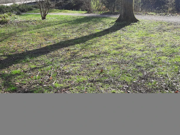 Station2 Barfußgehen