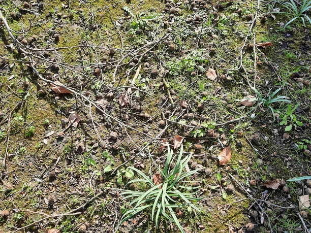 Station2 Barfußgehen2