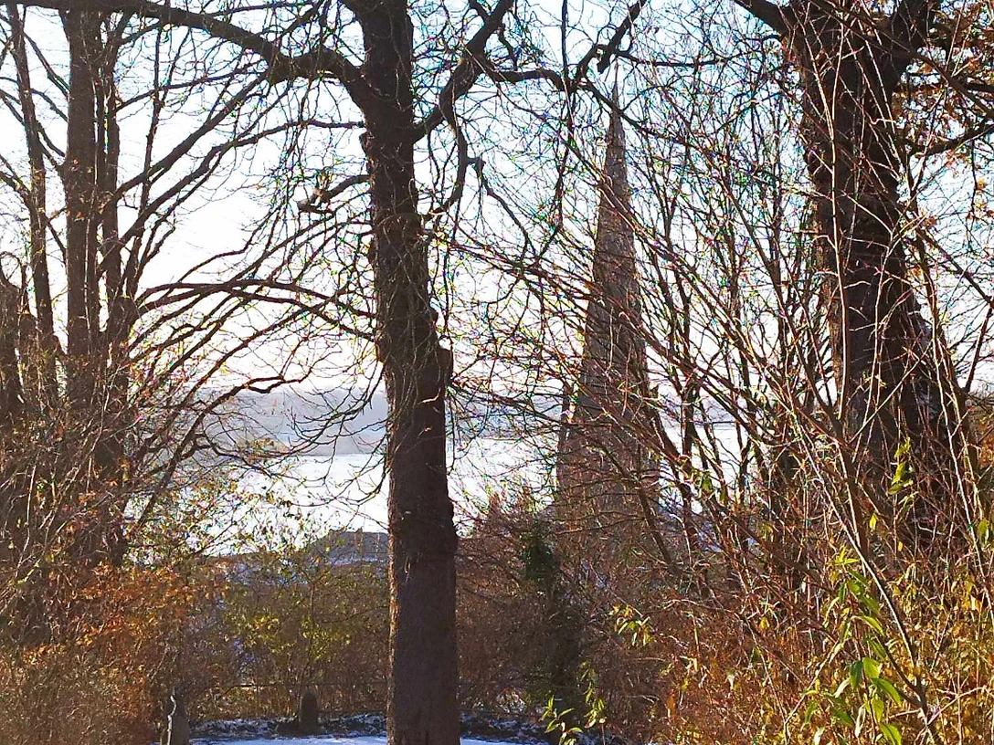 Blick auf die Maria - Magdalenen - Kirche
