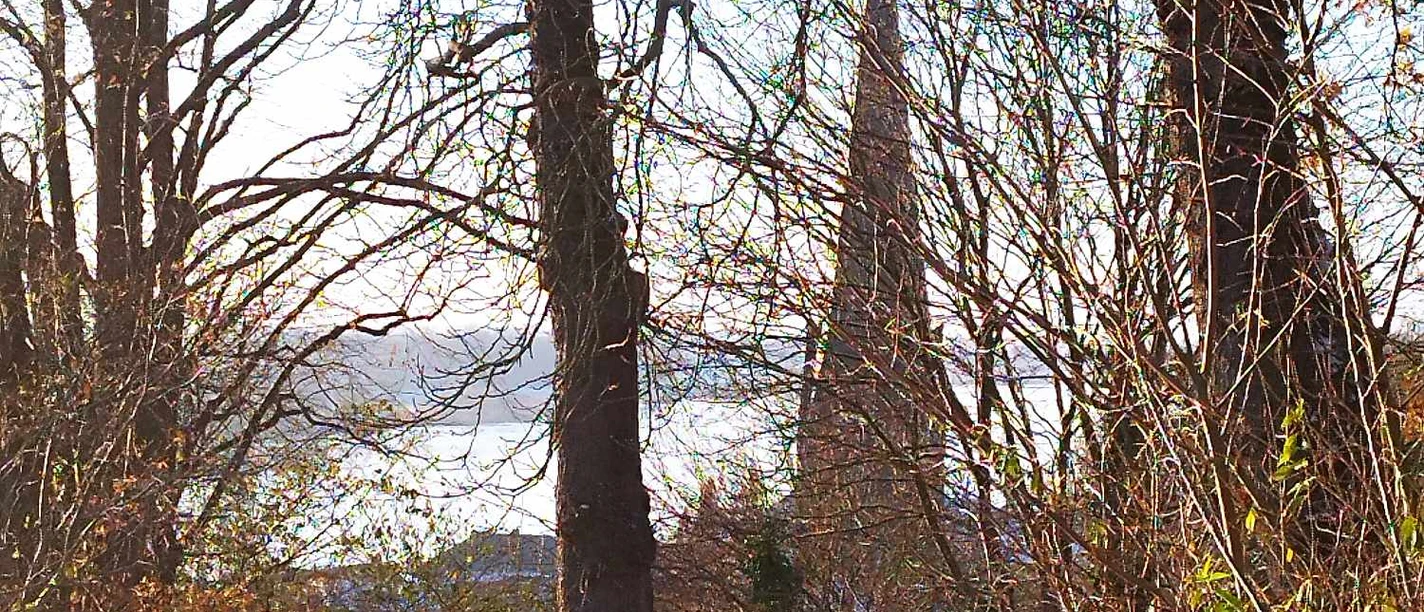 Blick auf die Maria - Magdalenen - Kirche