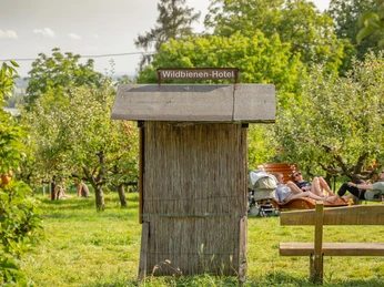 Lohrberg with MainÄppelHaus