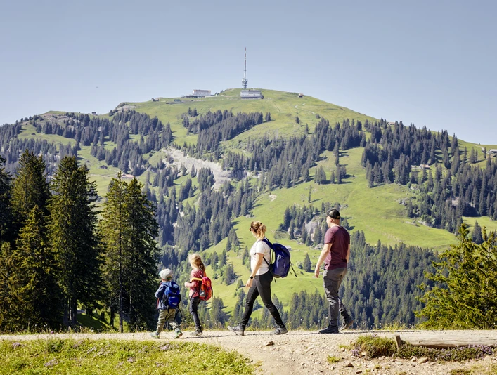 Jeu de piste Rigi Familie spaziert auf der RigiFamily walks on the RigiUne famille se promène sur le Rigi