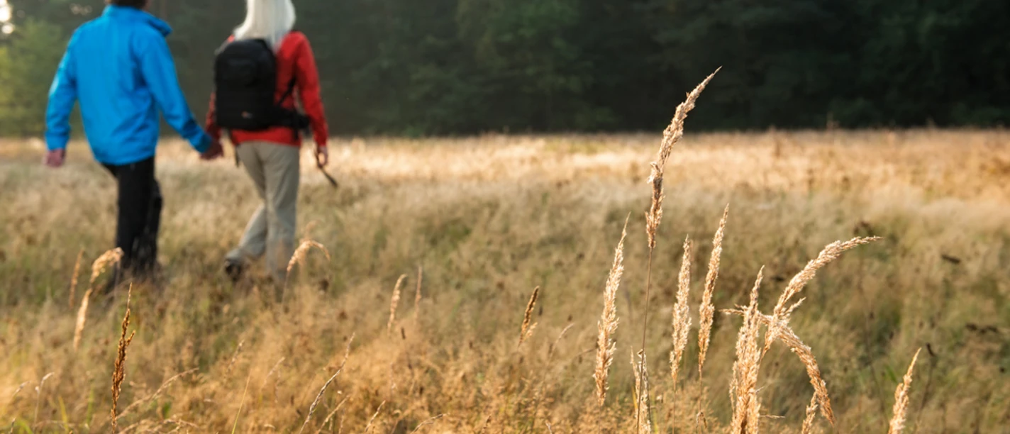 Lippe 4 © Themenmanagement Wandern Teutoburger Wald.jpg