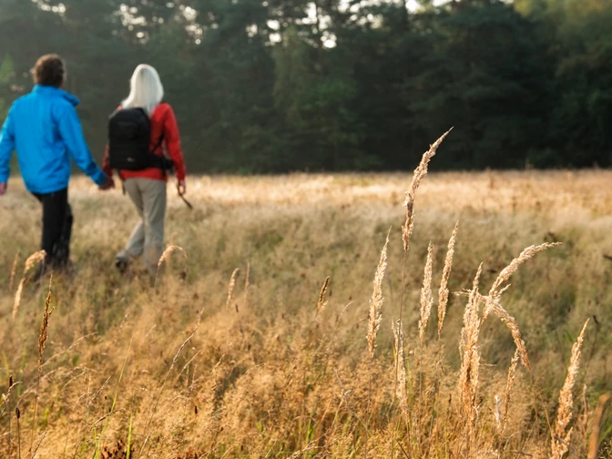 Lippe 4 © Themenmanagement Wandern Teutoburger Wald.jpg