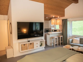 Sonnenfeld_C_Roshan Denier (12).jpg