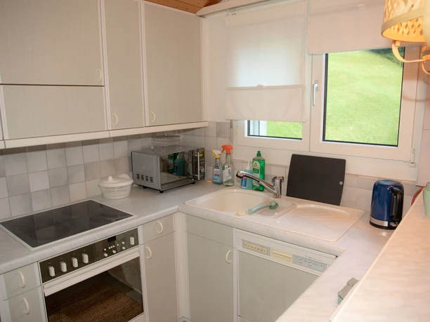 Sonnenfeld_C_Roshan Denier (13).jpg