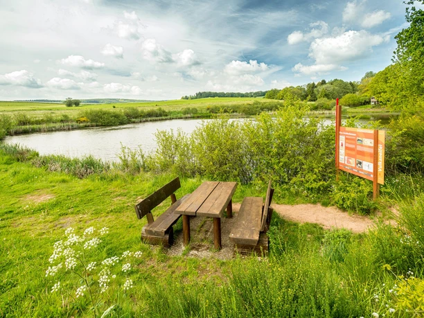 Eichholzmaar am Vulkanpfad