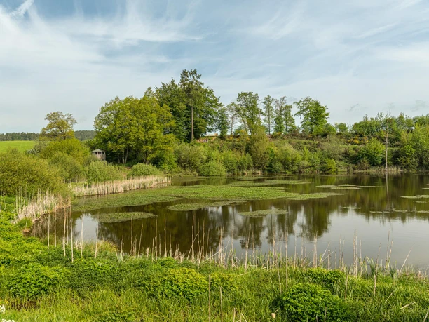 Vulkanpfad, Eichholzmaar