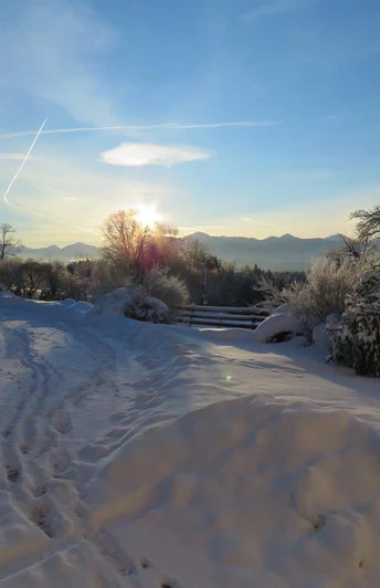 Winter Sonnenaufgang