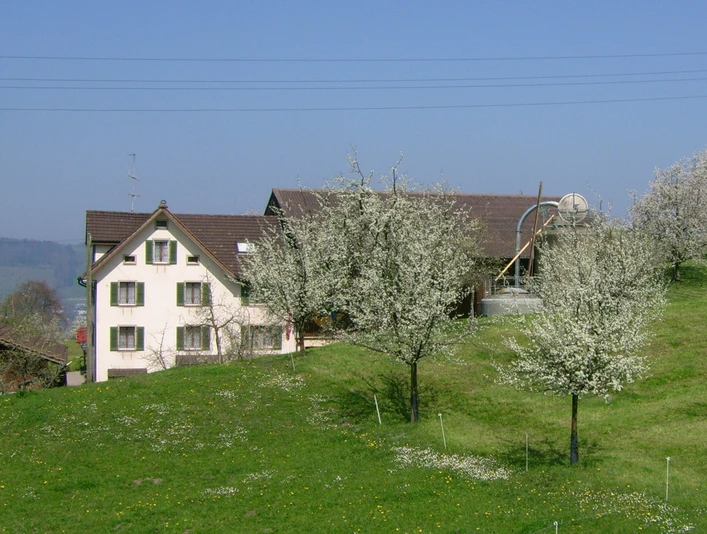 Gössi Hofmärt 2.jpg