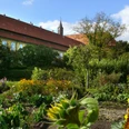 klostergarten 07 groß1.jpg Ein farbenprächtiger Klostergarten mit vielfältiger Pflanzenpracht und einem beeindruckenden Gewächshaus.