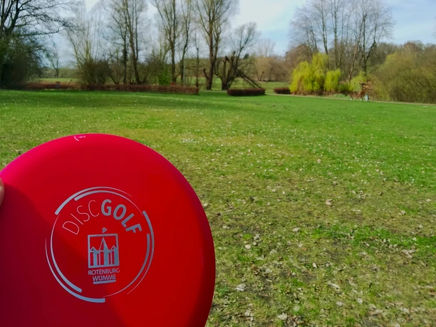 Disc-Scheibe mit Logo Disc-Scheibe mit Logo