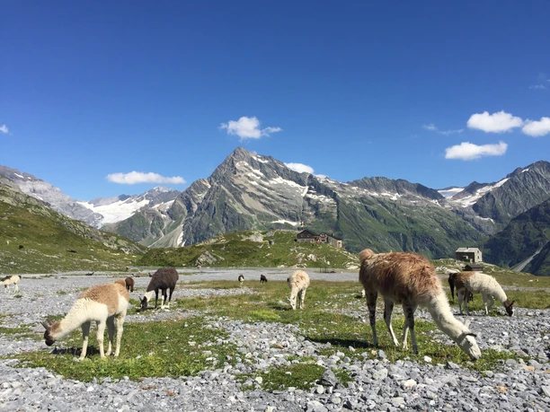 56-Foto 18.08.19, 15 41 21.jpg