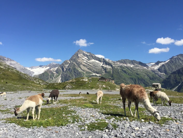 56-Foto 18.08.19, 15 41 21.jpg