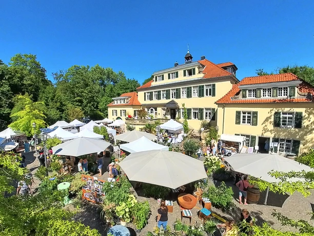 Rosenfest Ein idyllischer Gartenmarkt mit weißen Pavillons vor einem großen, eleganten Gebäude im Sonnenschein.