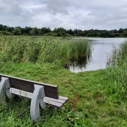 Arensholzer See
