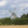 Windmühle Renata