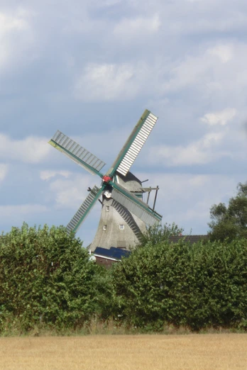 Windmühle Renata