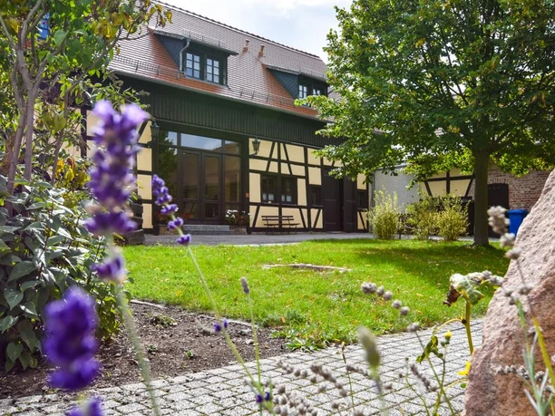 vs-lavendelhof-7