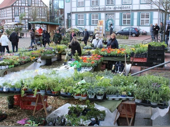 Quakenbrück Natürlich.JPG
