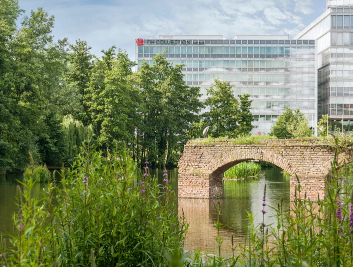 NH_collection-köln-mediapark Alte Steinbrücke über ruhigen See vor modernen Gebäuden und üppigem Grün bei sonnigem Wetter.Old stone bridge over calm lake in front of modern buildings and lush greenery in sunny weather.