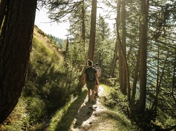 Wander Rosswald - Bortelhütte_4.jpg