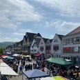 Blütenfest Beverungen Menschenmenge genießt das Blütenfest in Beverungen; bunte Stände und historische Fachwerkhäuser.